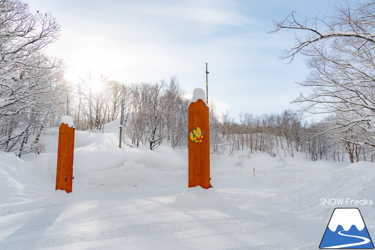 増毛町営暑寒別岳スキー場｜なんと、現在の積雪は、驚異の「280cm」！豪雪当たり年の暑寒別岳スキー場、最高です。